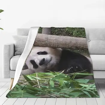 Одеяло Fubao Aibao Panda Fu Bao Легкие дышащие шерп-пледы для удобства ухода при перемещении в машине