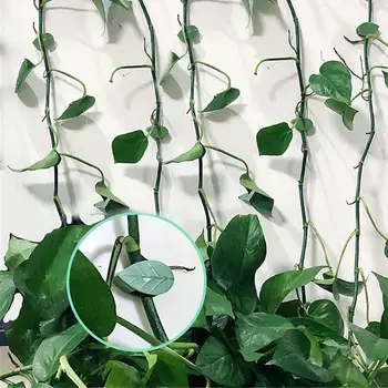 Зажим для растений с липкой лентой Зажим для растений к стене Эффективные садовые принадлежности Фиксаторы растений в форме листьев с клейкой лентой для лазания