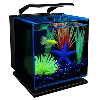 Набор для стеклянного аквариума GloFish Betta объемом 3 галлона, включает светодиодное освещение и фильтр.